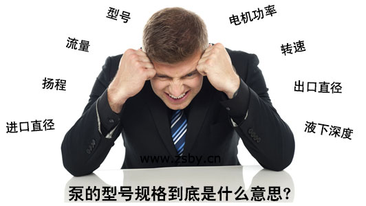 泵的型號規(guī)格到底是什么意思？